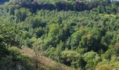 Tour Wandern Yvoir - Yvoir, boucle sur les roches, réserve de Champalle - Photo 1