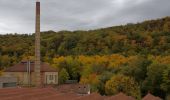 Percorso A piedi Bietigheim-Bissingen - Steillagen - Photo 1