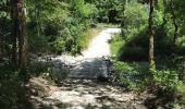 Trail Walking Saou - Petit et Grand Pomerolles - Forêt de Saoù - Photo 5