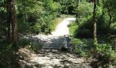 Tour Wandern Saou - Petit et Grand Pomerolles - Forêt de Saoù - Photo 5