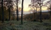 Randonnée Marche Borey - Les patey - Photo 1