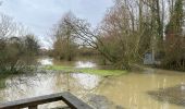 Tocht Stappen Erkegem-aan-de-Leie - Erquinghen-Lys inondations 12 km - Photo 4