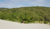 Tocht Noords wandelen Saint-Quentin-en-Tourmont - tour du parc du marquenterre. - Photo 3