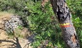 Percorso A piedi Gordes - les gorges de la Véroncle - Photo 1