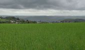 Randonnée Marche Bouillon - Rochehaut 110521 - Photo 6