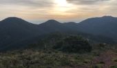 Tour Wandern Saint-Raphaël - Les grues et le Mont St Martin depuis le col Notre Dame - Photo 20