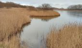 Tocht Stappen Veere - Se promener dans Westkapelle et dans les dunes  - Photo 2