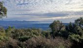 Trail Walking Roquebrune-sur-Argens - La Flûte  - Photo 2