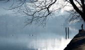 Trail On foot Pettenasco - IT-VP9 - Photo 1