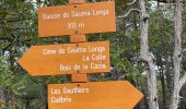 Excursión Senderismo Roquestéron - Roquesteron : la cime de la Cacia - Photo 14