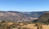 Tocht Stappen La Bastide-Pradines - Larzac6 Ferme des Brouzes - Millau - Photo 3