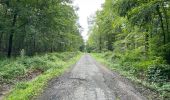 Randonnée Marche Oigny-en-Valois - en forêt de Retz_86_les Laies de la Poudrerie et de la Fosse aux Demoiselles - Photo 18