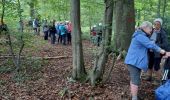 Trail Walking Namur - Marche les Dames - Photo 2