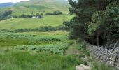 Tocht Te voet Eden - Aira Force and Gowbarrow Trail - Photo 4