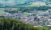 Excursión A pie Schlierbach - Burg Altpernstein - Photo 10