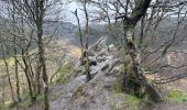 Tour Wandern Monschau - Rando Eifel des jonquilles narcisses 18,3 - Photo 15