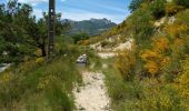 Tour Wandern Sisteron - chapelle de st  Domin - Photo 6