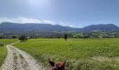 Trail Horseback riding Chainaz-les-Frasses - Lachat circuit court - Photo 4