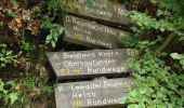 Tocht Te voet Helsa - Helsaer Wanderweg Bilsteinkirche - Photo 3