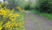 Trail Walking Solignat - PUY D'YSSON - Photo 2