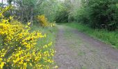 Tocht Stappen Solignat - PUY D'YSSON - Photo 2