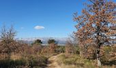 Randonnée Marche Peynier - la plaine de la garde - Photo 6