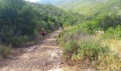 Percorso Marcia Roquebrune-sur-Argens - Pic Bourete - Photo 4