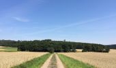 Tocht Te voet Naumburg - Heimarshausen - H3 - Photo 4