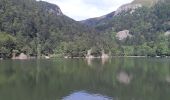 Randonnée Marche La Bresse - Le Hohneck et ses lacs d'altitude - Photo 16