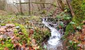 Trail Walking Viroinval - Balade dans le Viroinval - De Vierves à Olloy - Photo 1