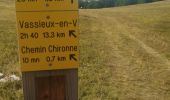 Randonnée Marche Vassieux-en-Vercors - col de Vassieux et col de Chironne - Photo 2