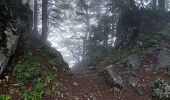 Excursión Senderismo Autrans-Méaudre en Vercors - t4m j2 - Photo 12