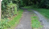 Trail Walking Ohey - pilori hodoumont goesnes - Photo 6