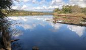 Excursión Senderismo Fréjus - Tour des étangs de Villepey - Photo 4