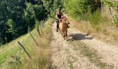 Trail Horseback riding Saint-Apollinaire-de-Rias - St Appollinaire de Rias au top 👍 - Photo 18