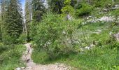 Tour Wandern Saint-Pierre-de-Chartreuse - Col Charmette Grand Sur sommet 10,7 km - Photo 18