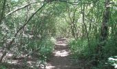 Trail Walking Liège - rando la plus bucolique sur les coteaux rive gauche de la meuse - Photo 6