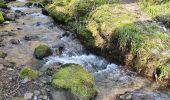 Trail Walking Lapleau - viaduc rochers noirs - Photo 17