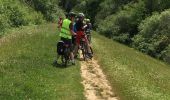 Percorso Mountainbike Gif-sur-Yvette - Port Royal- Romainville - Photo 3