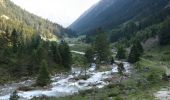 Excursión Senderismo Cauterets - Lac d'Estom - Photo 19