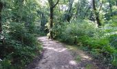 Trail Walking Canéjan - simone - Photo 4