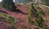 Tocht Stappen Rosis - Col de Madale - Col de la Fage - Photo 5