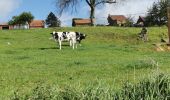 Tocht Stappen Grévillers - randonnée grévillers  - Photo 2