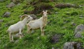 Tocht Te voet Marktgemeinde Matrei in Osttirol - Gletscherlehrweg Innergschlöss - Photo 3