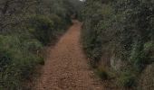 Randonnée Marche Le Revest-les-Eaux - La grotte des sables - Photo 8