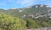 Trail Walking Saint-Guilhem-le-Désert - Roc de la Vigne  - Photo 6