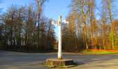 Randonnée Marche Lacroix-Saint-Ouen - en forêt de Compiègne_45_sur les Routes de Morienval et de Champlieu - Photo 8