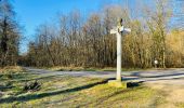 Excursión Senderismo Compiègne - en forêt de Compiègne_47_autour des Beaux Monts - Photo 2