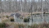 Trail Walking Marche-en-Famenne - wex ac 2 - Photo 1