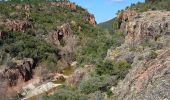 Tour Wandern Le Muy - Pk Piste des Corbières - Rocher de la fille d'Isnard - Photo 4